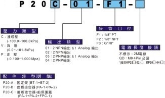P20系列-數字壓力開關型號規格說明