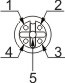 M123R - □ - N/M123RL - □ - N/M125R - □ - P/M125RL - □ - P母頭腳位