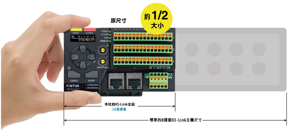 達到手掌般的大小